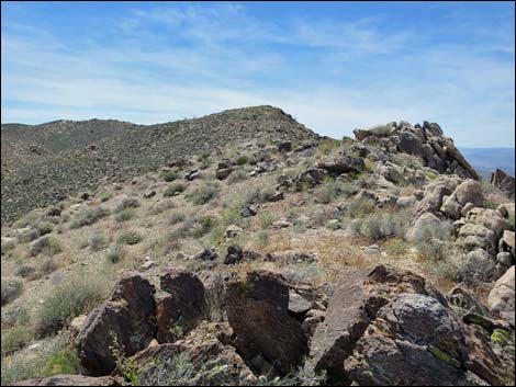 Jumbo Springs Wilderness