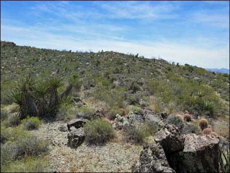 Jumbo Springs Wilderness