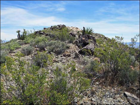 Jumbo Springs Wilderness