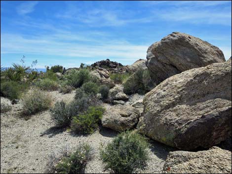 Jumbo Springs Wilderness