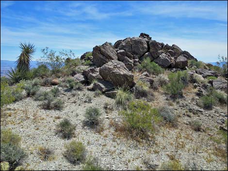 Jumbo Springs Wilderness