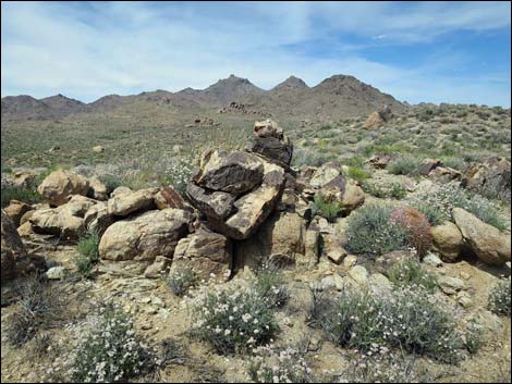 Jumbo Springs Wilderness