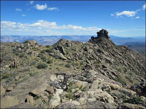 Jumbo Ridge Highpoint