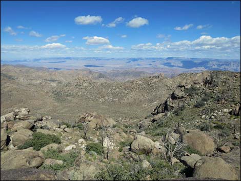 Jumbo Ridge Highpoint