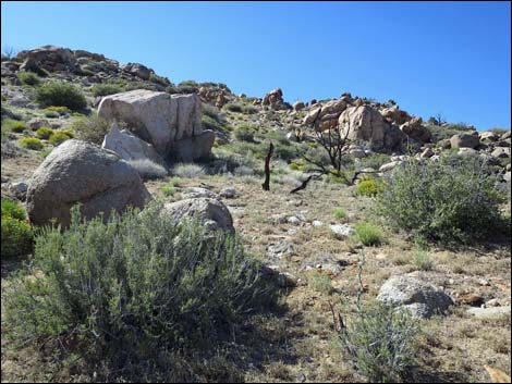 Jumbo Ridge Highpoint