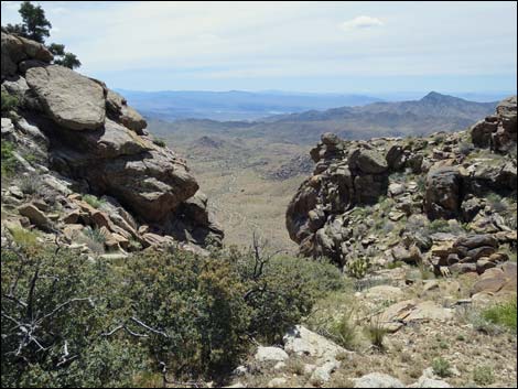 jumbo peak