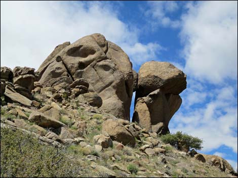 jumbo peak