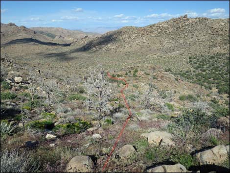 jumbo peak