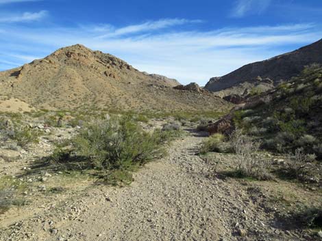 Two Forks Loop