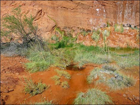 Mud Wash Corral to Little Finland