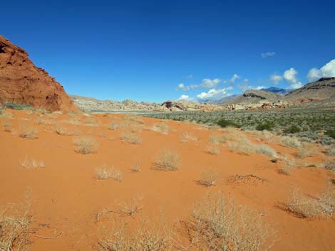 Mud Wash Dunes