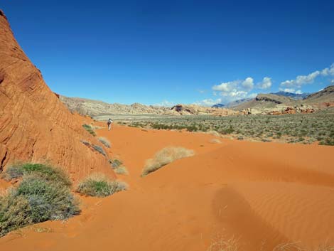 Mud Wash Dunes