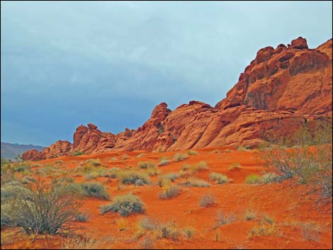 Mud Wash Dunes