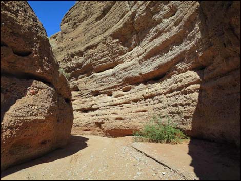 Mud Wash Narrows