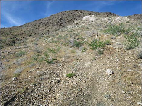 Mud Wash North Road  Nevada Mica Mine Road