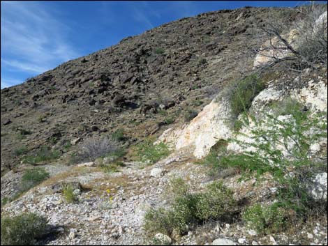 Nevada Mica Mine