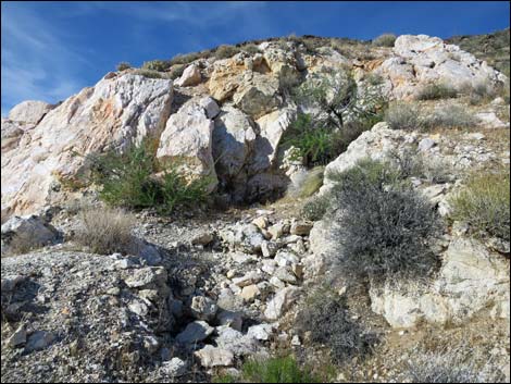 Nevada Mica Mine