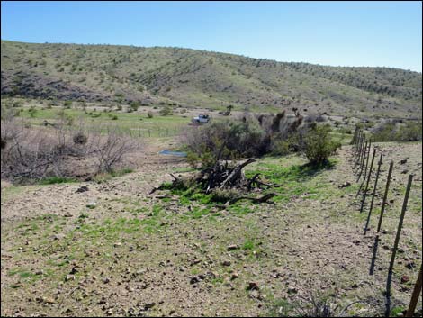 Agua Chiquita Spring