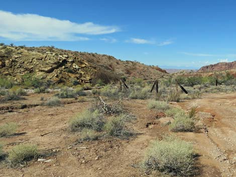 Gold Butte Wash Well