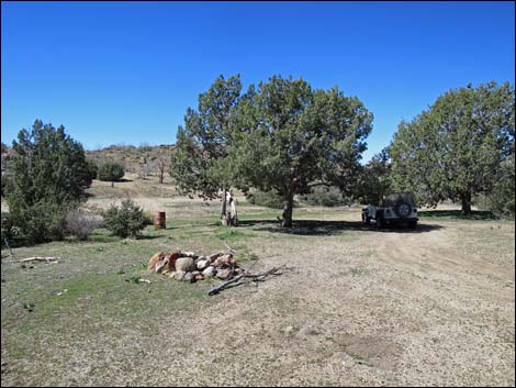 Grapevine Spring Corral