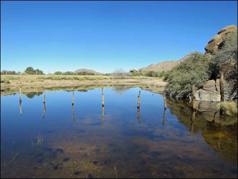 Grapevine Spring Corral