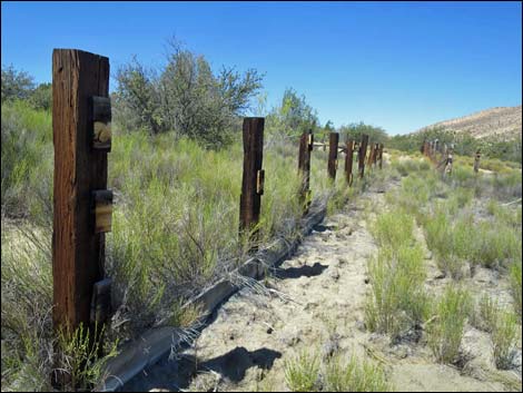 Garden Spring Corral