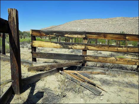 Garden Spring Corral