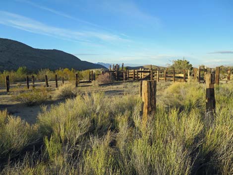 Garden Spring Corral