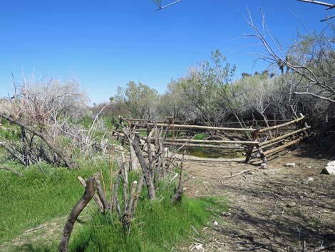 Horse Spring