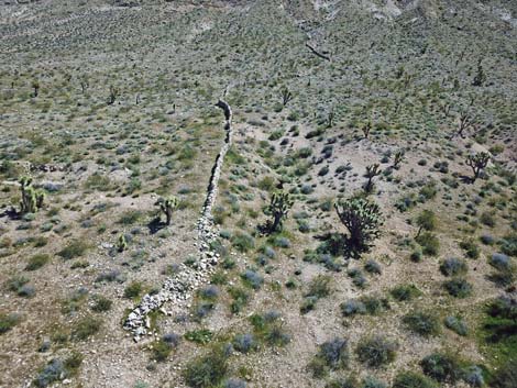 Horse Spring Corral