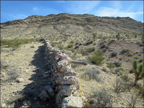 Horse Spring Corral