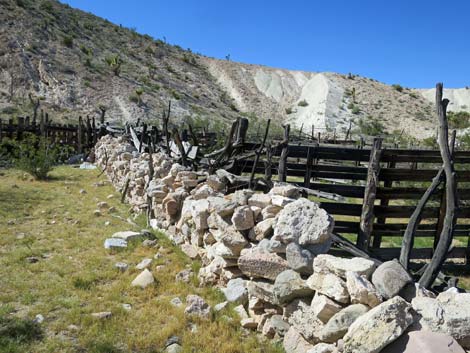 Horse Spring Corral