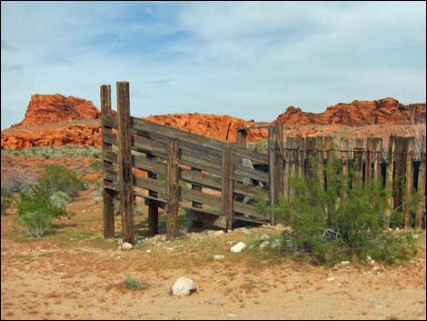 Mud Wash Corral