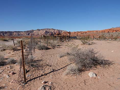 Mud Wash Corral