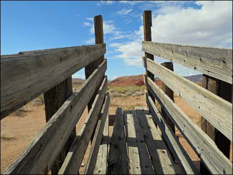 Mud Wash Corral