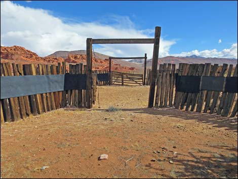 Mud Wash Corral