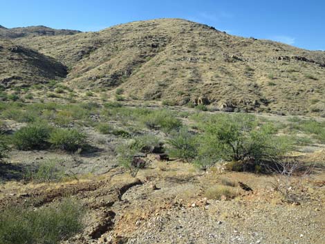 Nevada Mica Mine Road