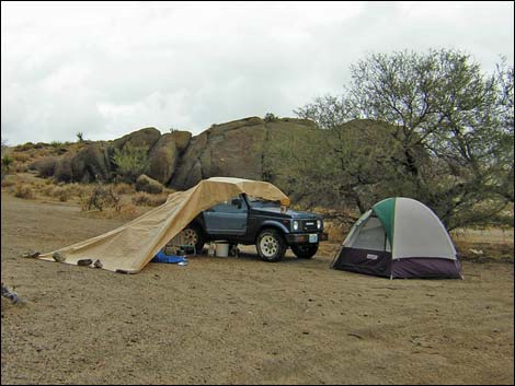 Gold Butte Townsite