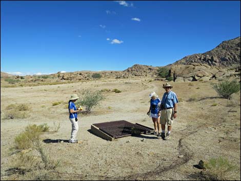 Gold Butte Townsite