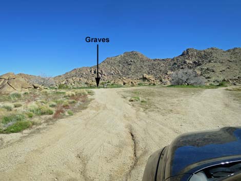 Gold Butte Townsite