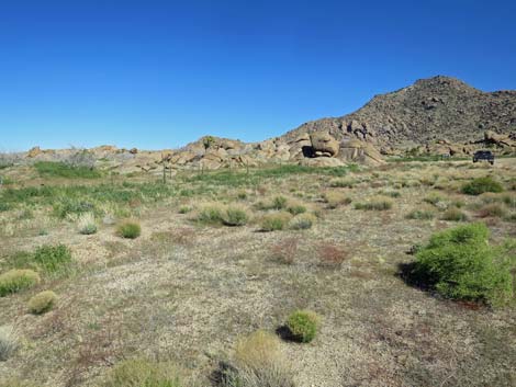 Gold Butte Townsite