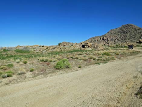 Gold Butte Townsite