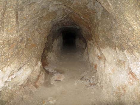 Gold Butte Townsite Upper Mine