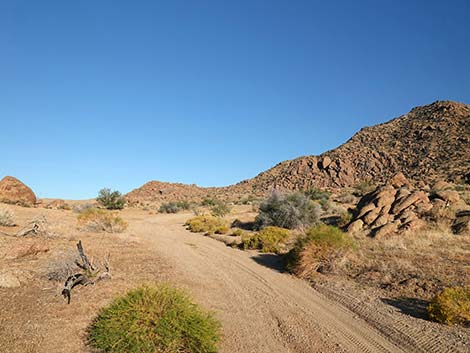 Lower Mine Road