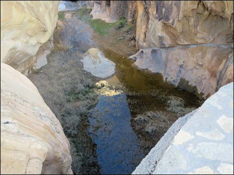 Whitney Pocket CCC Dam