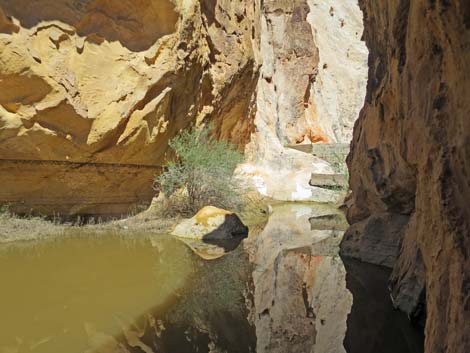 Whitney Pocket CCC Dam