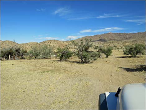 Willow Wash Corral