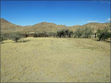 Willow Wash Corral