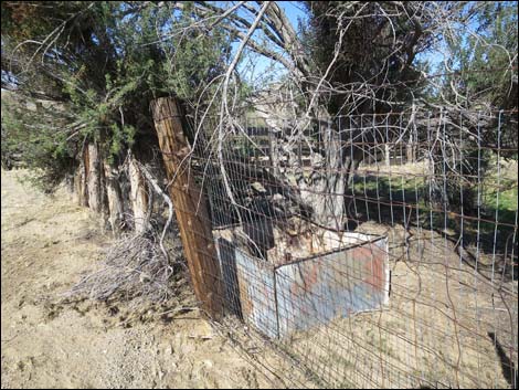 Willow Wash Corral