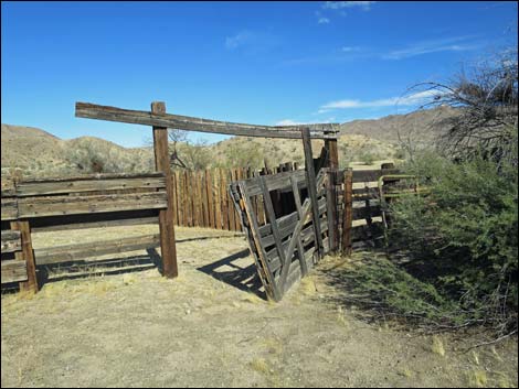 Willow Wash Corral